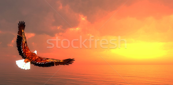 Eagle flying - 3D render Stock photo © Elenarts