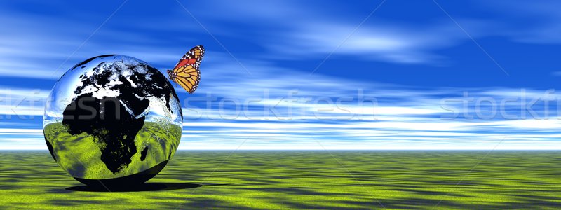Terra belo borboleta em pé Foto stock © Elenarts