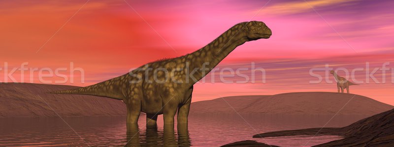 Dinosaur rgentinosaurus Stock photo © Elenarts