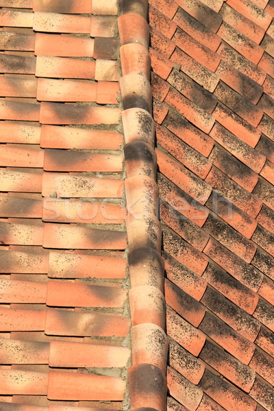 Tiles on a roof Stock photo © Elenarts