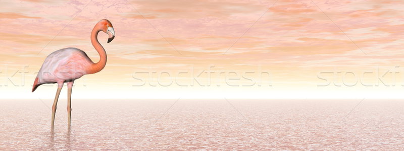 粉紅色 火烈鳥 三維渲染 一 常設 水 商業照片 © Elenarts