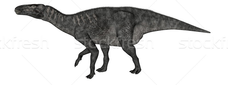 Iguanodon dinosaur walking - 3D render Stock photo © Elenarts