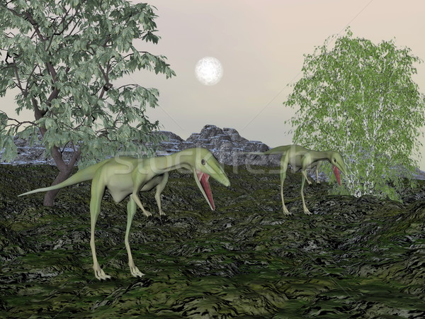 Compsognathus dinosaur mum and baby- 3D render Stock photo © Elenarts