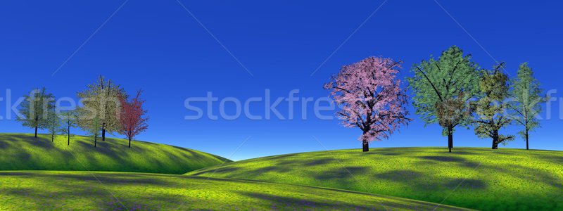 Arbres herbe collines plusieurs vert profonde [[stock_photo]] © Elenarts