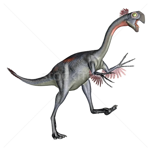 Stock photo: Gigantoraptor dinosaur