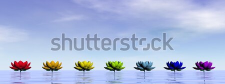 Csakra liliom virágok 3d render színek víz Stock fotó © Elenarts