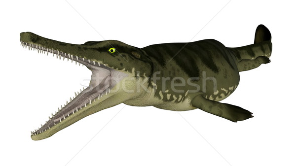 Metriorhynchus prehistoric fish - 3D render Stock photo © Elenarts