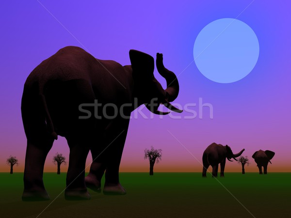 Elephants in the savannah by night Stock photo © Elenarts