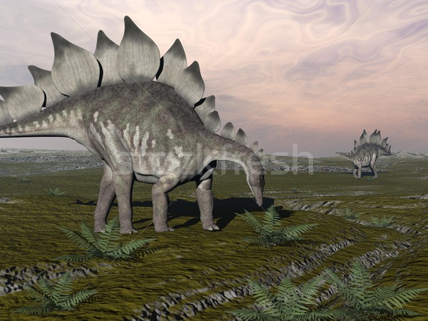 Hungry stegosaurus - 3D render Stock photo © Elenarts