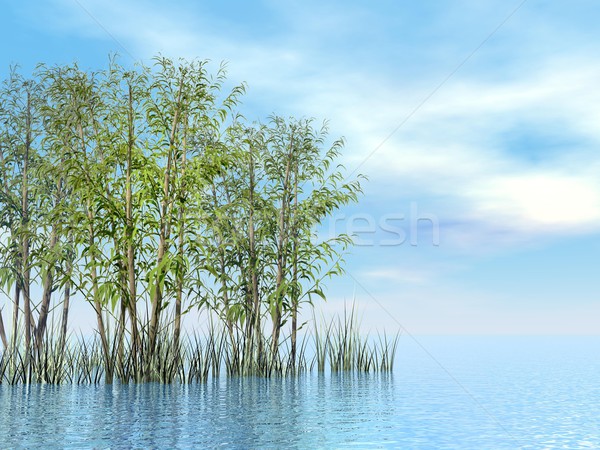 Bamboo and grass - 3D render Stock photo © Elenarts