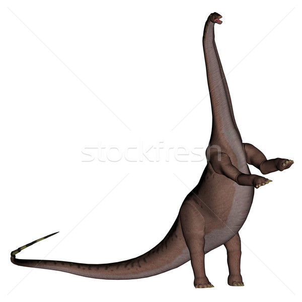 Apatosaurus dinosaur standing up - 3D render Stock photo © Elenarts