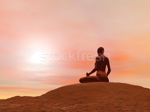 Meditáció póz 3d render fiatal nő gyakorol jóga Stock fotó © Elenarts