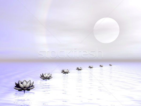 Water lilies steps to the sun - 3D render Stock photo © Elenarts
