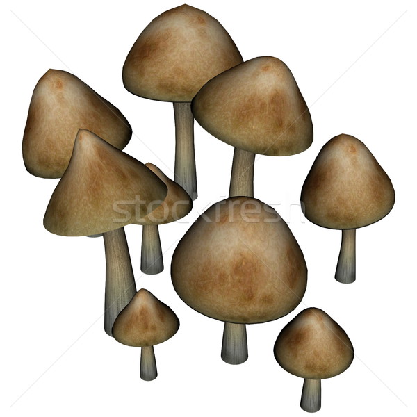 Mushrooms - 3D render Stock photo © Elenarts