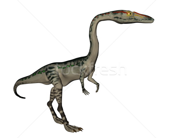 Coelophysis dinosaur - 3D render Stock photo © Elenarts