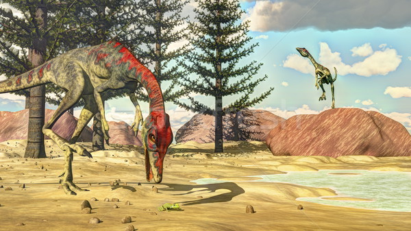 Compsognathus dinosaurs - 3D render Stock photo © Elenarts