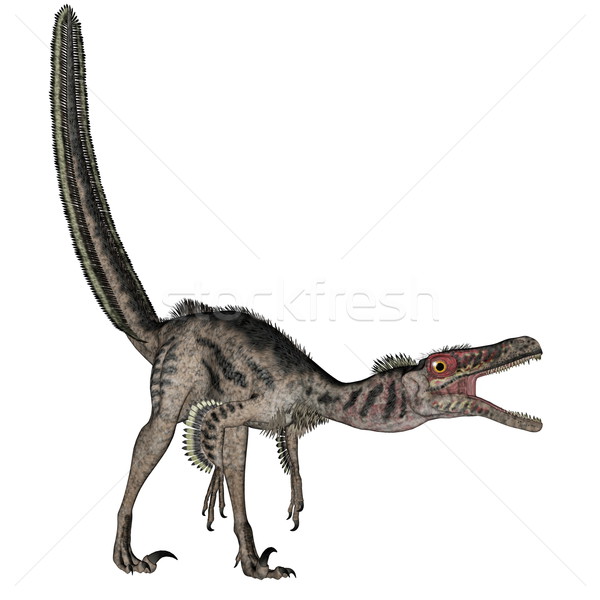 Velociraptor dinosaur - 3D render Stock photo © Elenarts