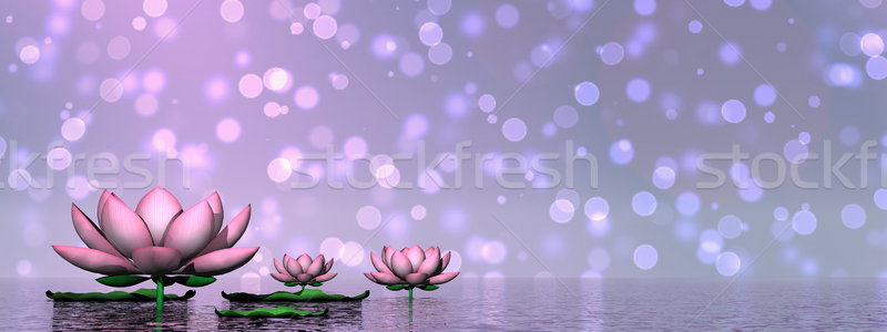 Foto stock: Lírio · flores · 3d · render · folhas · água · bokeh