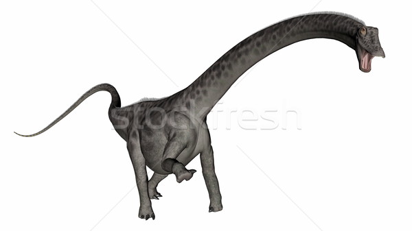 Diplodocus dinosaur head up - 3D render Stock photo © Elenarts