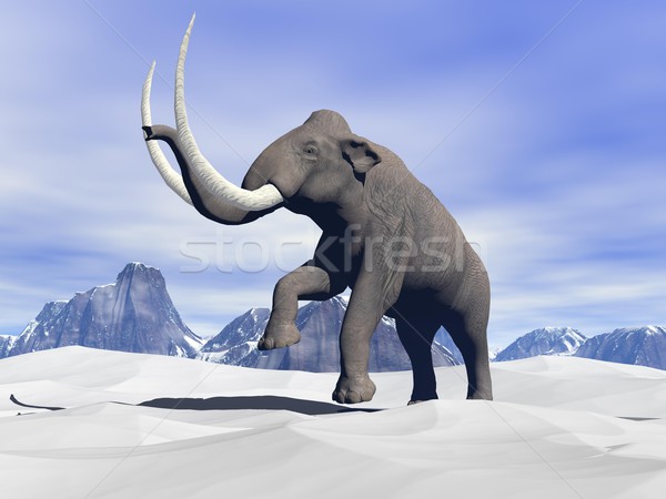 Mammoth in the snow Stock photo © Elenarts