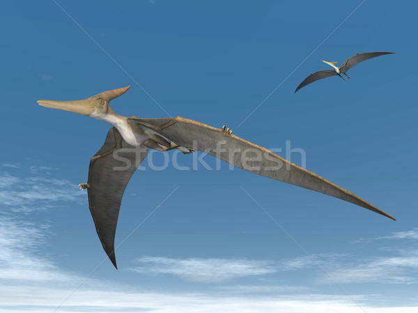 Pteranodon dinosaurs flying - 3D render Stock photo © Elenarts