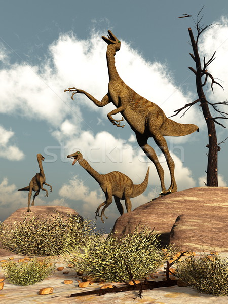 Gallimimus dinosaurs - 3D render Stock photo © Elenarts