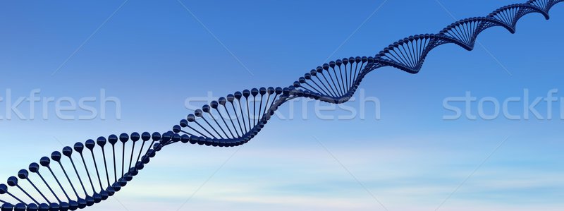 DNA chain Stock photo © Elenarts