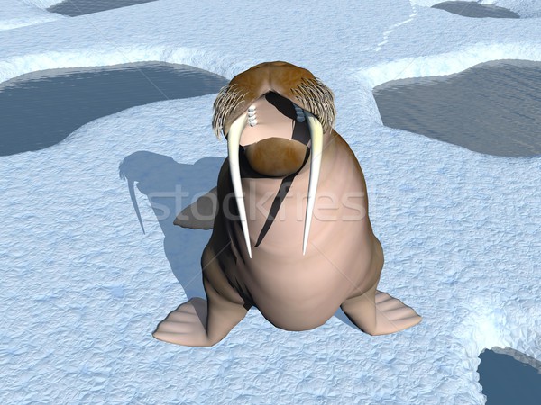 Walrus mond 3d render permanente ijsberg Stockfoto © Elenarts