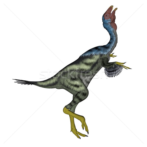 Caudipteryx dinosaur head up- 3D render Stock photo © Elenarts