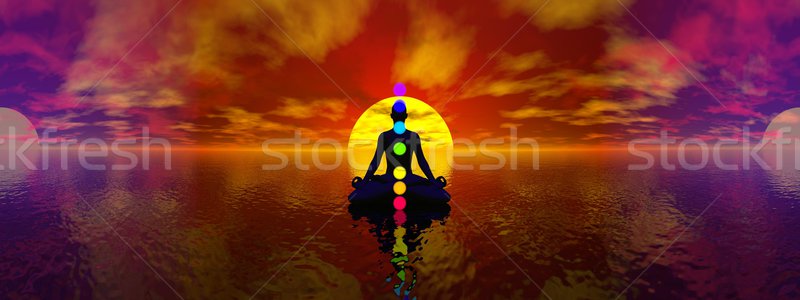 3d render sziluett férfi meditál hét színes Stock fotó © Elenarts