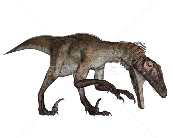 Utahraptor dinosaur roaring down - 3D render Stock photo © Elenarts