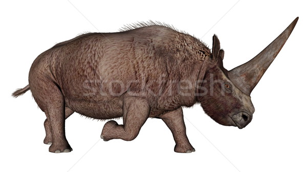 Elasmotherium dinosaur rhinoceros - 3D render Stock photo © Elenarts