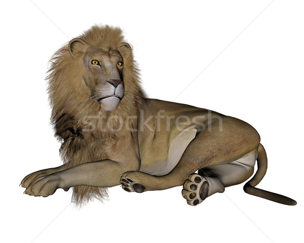 Lion resting - 3D render Stock photo © Elenarts
