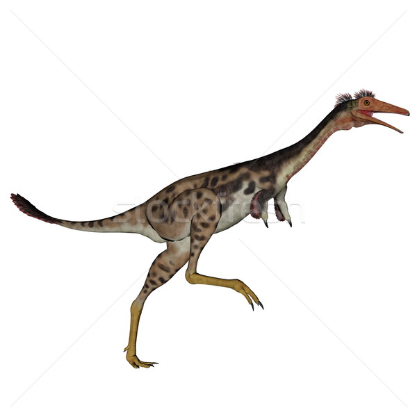 Mononykus dinosaur walking - 3D render Stock photo © Elenarts