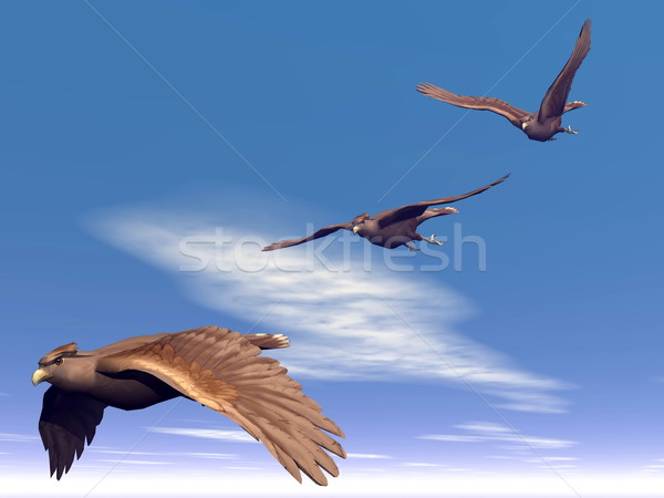Flying hawks - 3D render Stock photo © Elenarts
