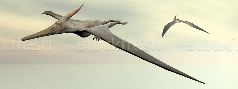 Stock photo: Pteranodon dinosaurs flying - 3D render