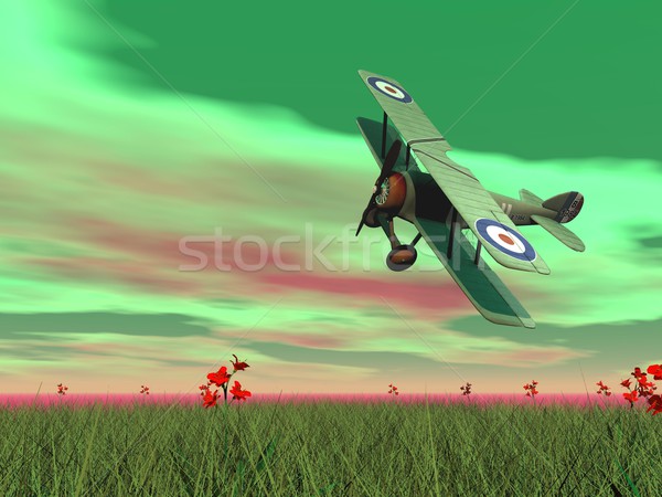 Kétfedelű repülőgép repülés 3d render klasszikus zöld fű virágok Stock fotó © Elenarts