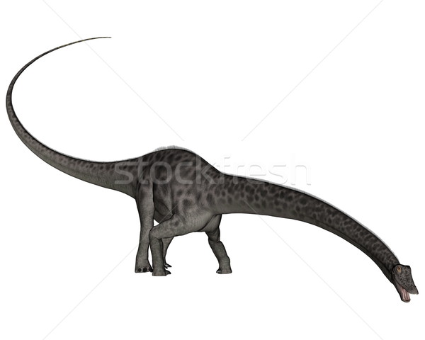 Diplodocus dinosaur head down - 3D render Stock photo © Elenarts