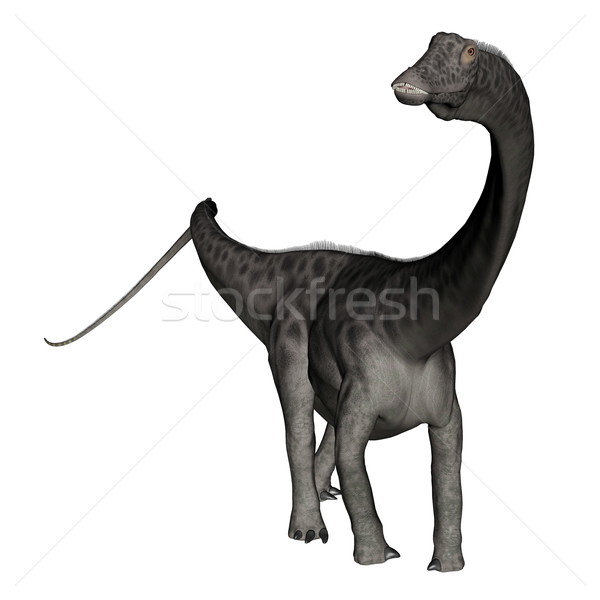 Diplodocus dinosaur standing - 3D render Stock photo © Elenarts