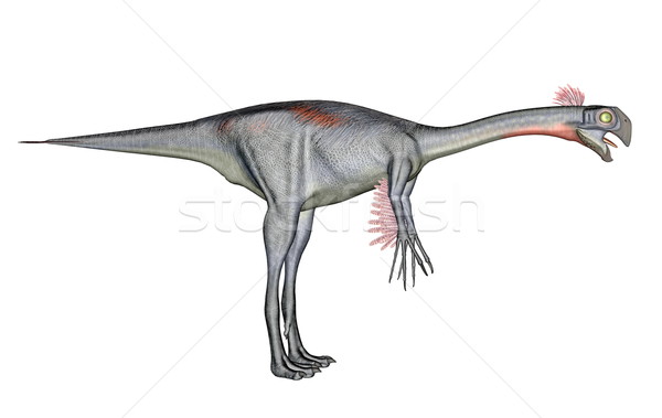 Stock photo: Gigantoraptor dinosaur