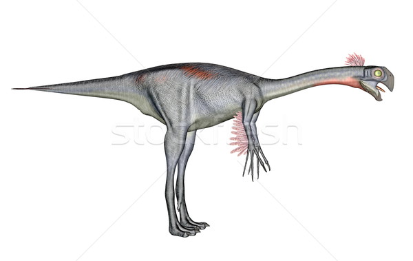 Gigantoraptor dinosaur Stock photo © Elenarts