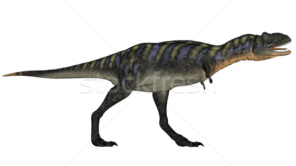 Aucasaurus dinosaur walking roaring - 3D render Stock photo © Elenarts