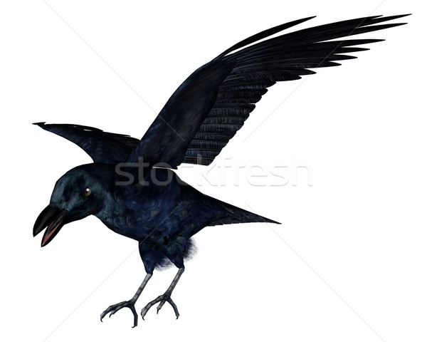 Black crow - 3D render Stock photo © Elenarts