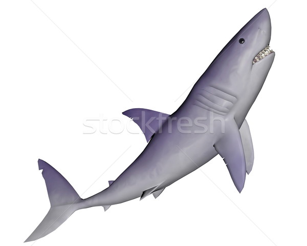 Shark - 3D render Stock photo © Elenarts