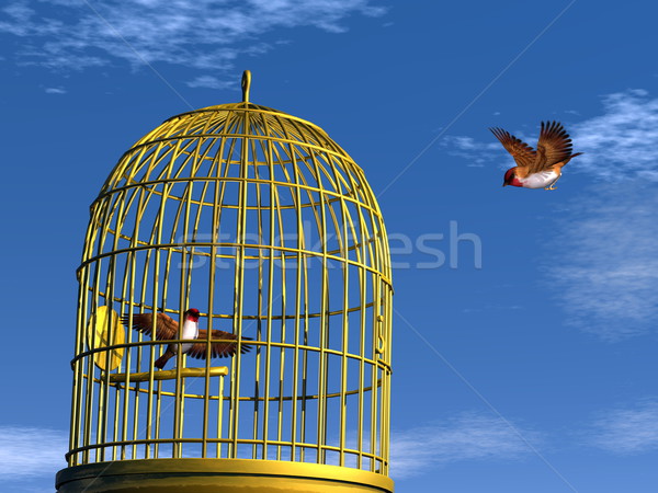 Freedom versus prison - 3D render Stock photo © Elenarts