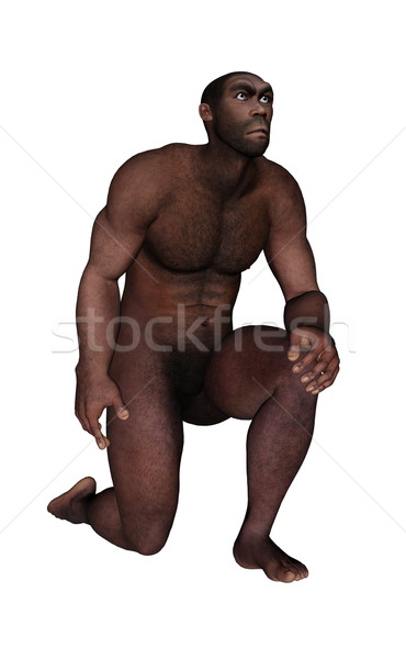 Male homo erectus asking - 3D render Stock photo © Elenarts