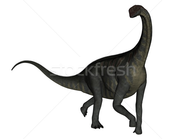 Jobaria dinosaur walking - 3D render Stock photo © Elenarts