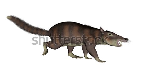 Cronopio dentiacutus, prehistoric mammal - 3D render Stock photo © Elenarts