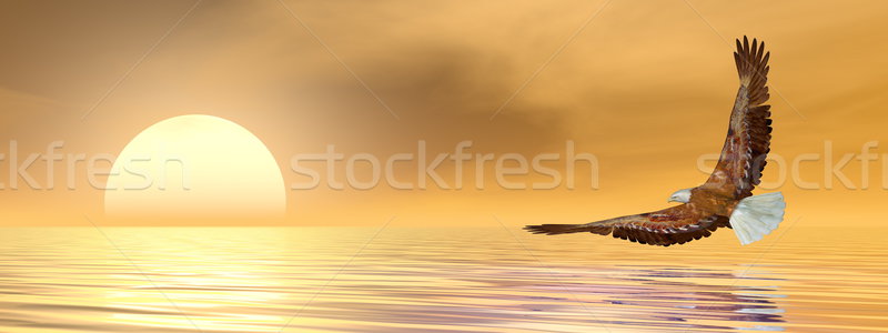 Eagle flying to the sun - 3D render Stock photo © Elenarts