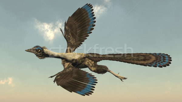 Archaeopteryx birds dinosaurs flying - 3D render Stock photo © Elenarts